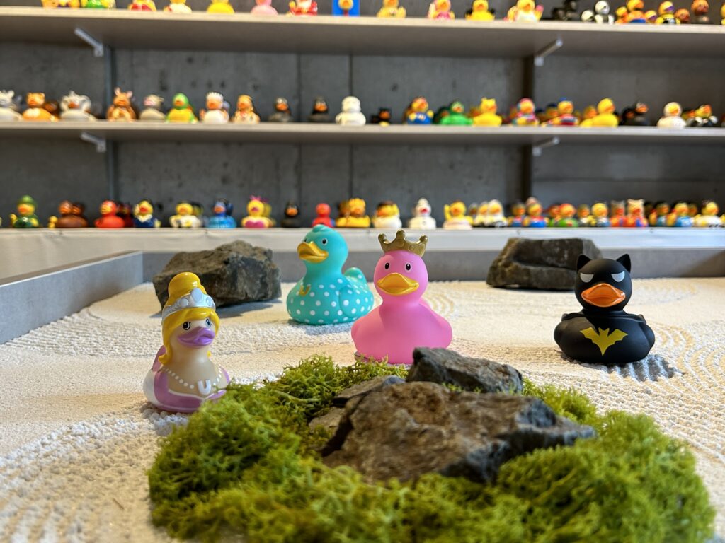 Ducks