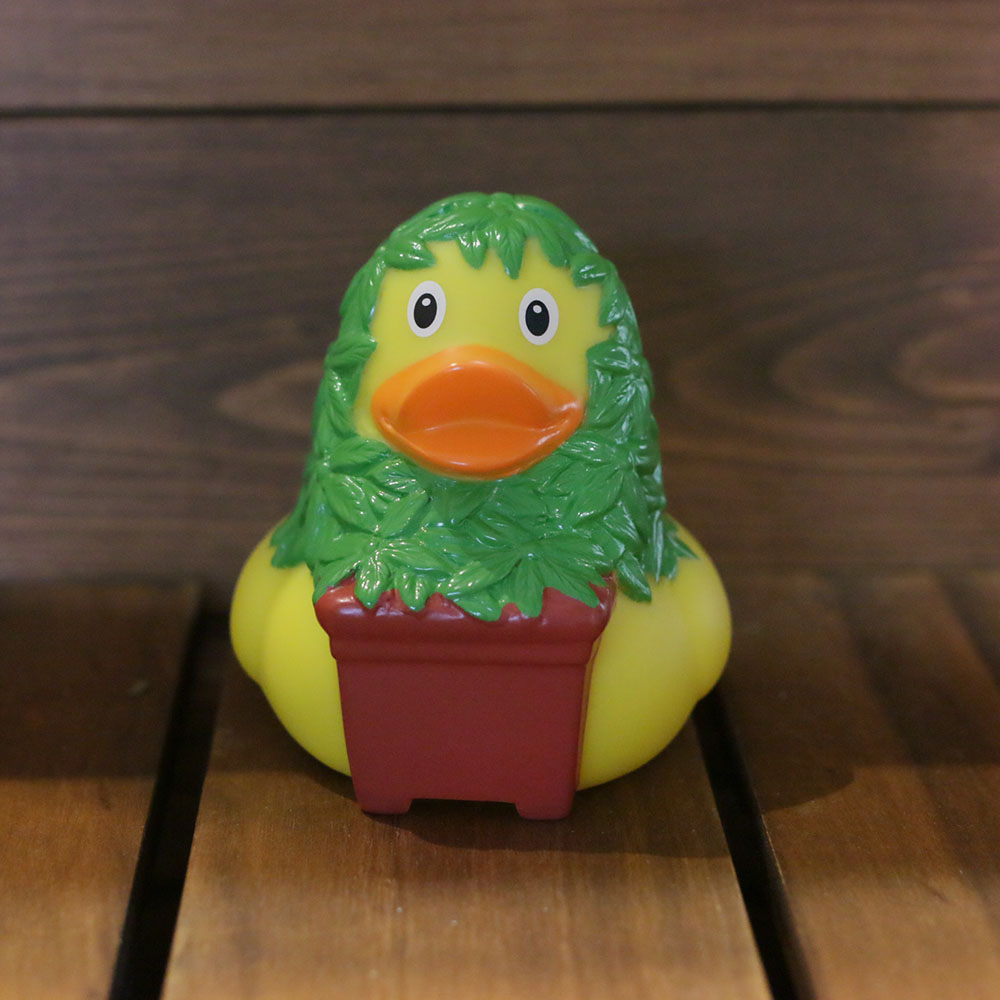 hemp duck ラバーダック アヒル ducks lilalu