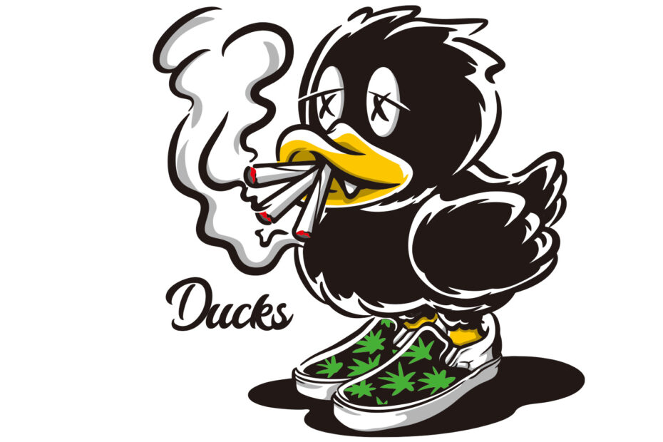 ducks ダックス 京都 アヒル