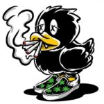 Ducks(ダックス)